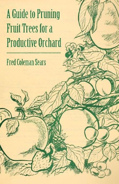 A Guide to Pruning Fruit Trees for a Productive Orchard