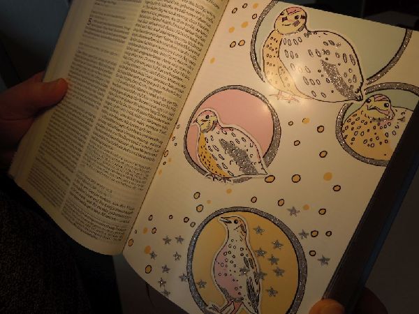Die Bibel mit Bildern zu Wundern