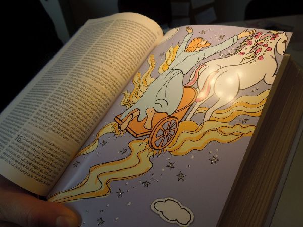 Die Bibel mit Bildern zu Wundern