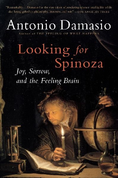 Looking for Spinoza