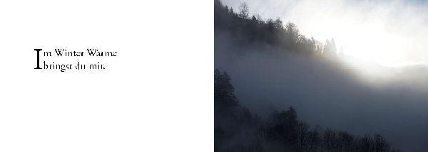 Die Sonne sucht dich - Das Foto-Meditationsbuch für eine gute Schwangerschaft und Geburt