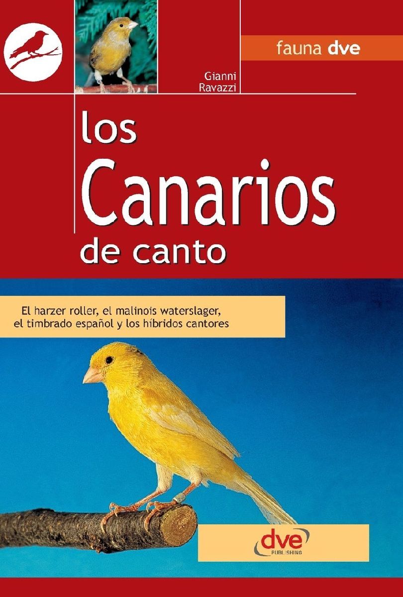 Los canarios de canto