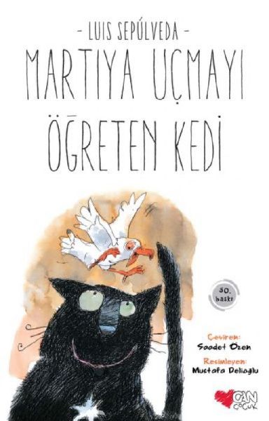 Martiya Ucmayi Ögreten Kedi