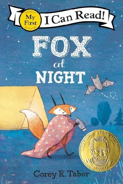 Fox at Night