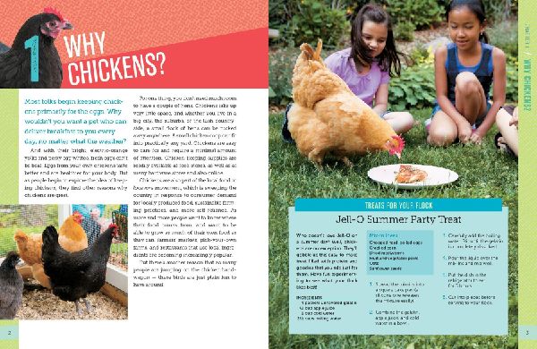 A Kid's Guide to Keeping Chickens