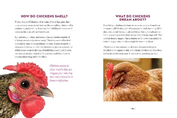 How to Speak Chicken