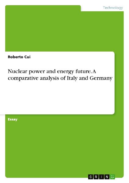 Nuclear power and energy future. A comparative analysis of Ita...