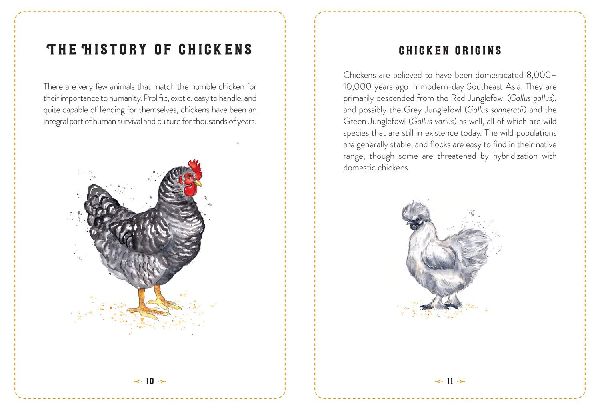 The Little Book of Chickens