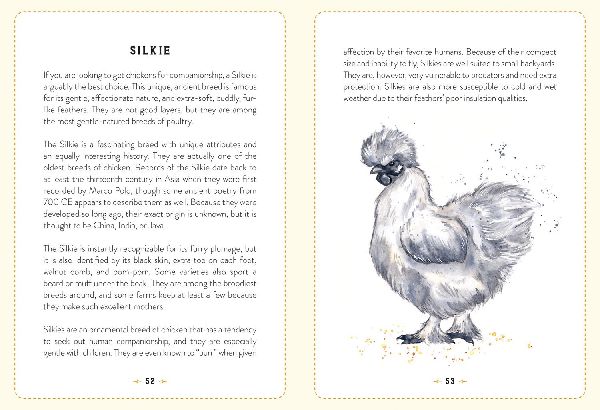 The Little Book of Chickens