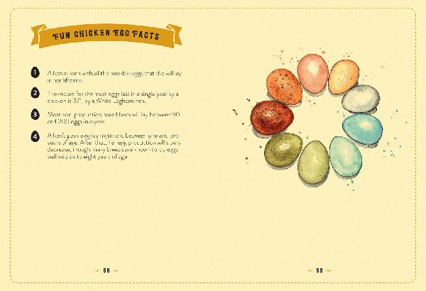 The Little Book of Chickens