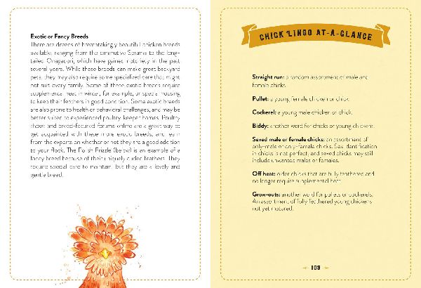 The Little Book of Chickens