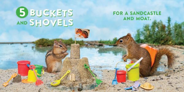 Oakley the Squirrel: Camping 1, 2, 3!