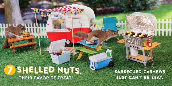 Oakley the Squirrel: Camping 1, 2, 3!