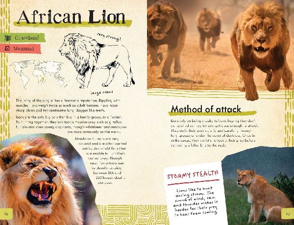 Dangerous Animals Survival Guide