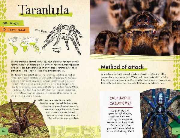 Dangerous Animals Survival Guide
