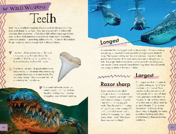 Dangerous Animals Survival Guide