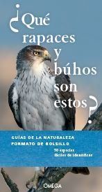 ¿Qué rapaces y buhos son estos?