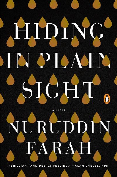 Hiding in Plain Sight