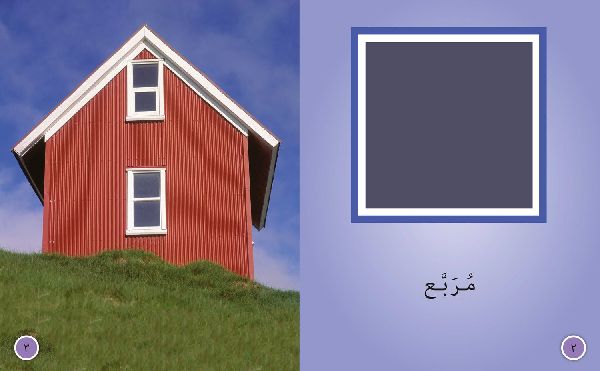 BIG CAT ARABIC - SHAPES