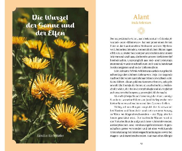 Sonnenkräuter für die Seele