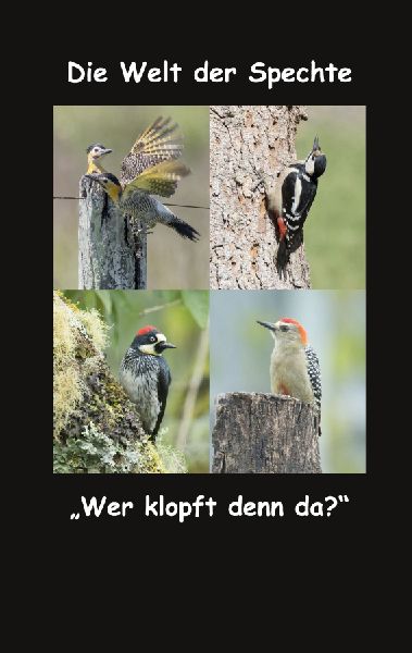 Die Welt der Spechte