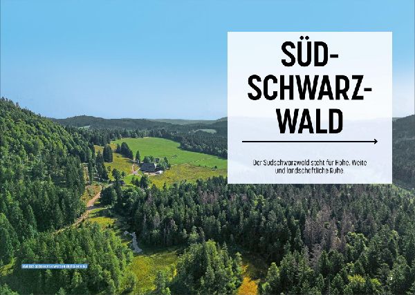 Schwarzwald mit dem Gravelbike