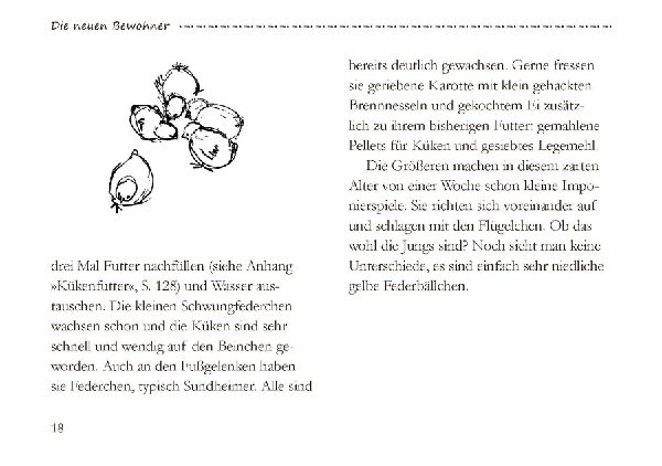 Von großen und kleinen Hühnern