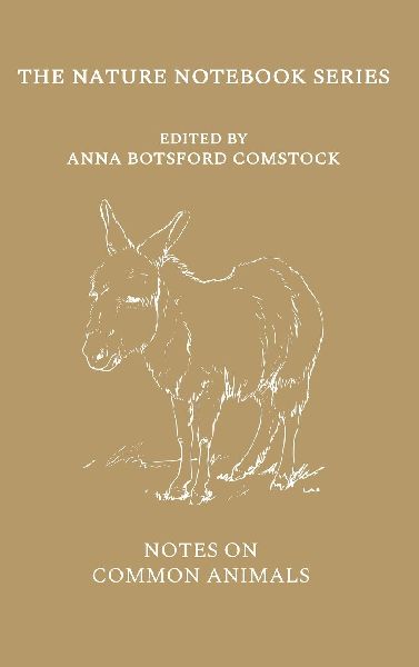 Notes on Common Animals