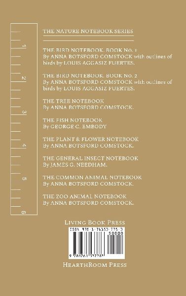 Notes on Common Animals