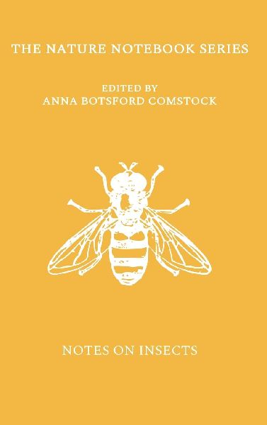 Notes on Insects