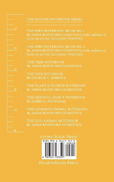 Notes on Insects