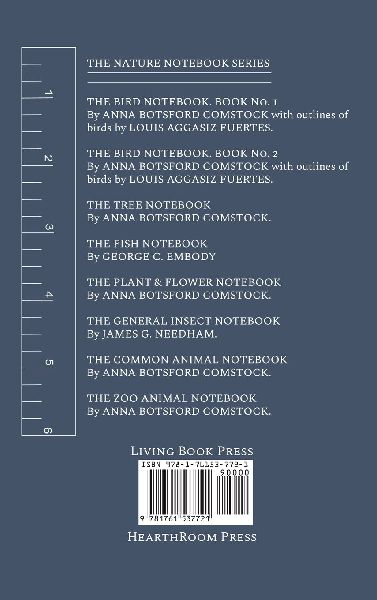 Notes on Birds 2