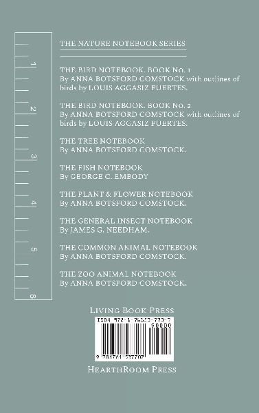 Notes on Birds 1