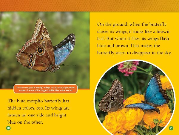 Animals That Change Color (National Geographic Kids Readers, Level 2)