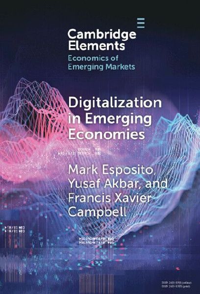 Digitalization in Emerging Economies