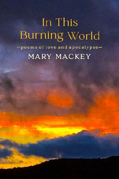 In This Burning World