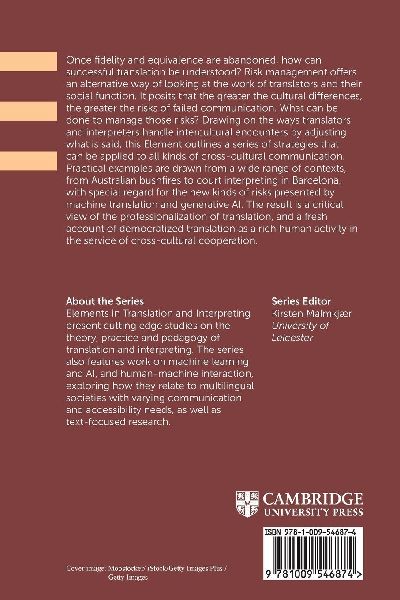 Risk Management in Translation