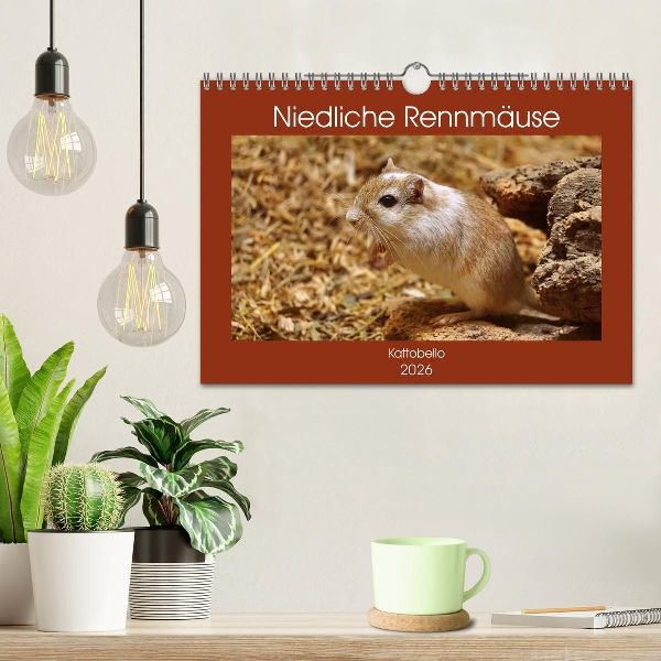 Niedliche Rennmäuse (Wandkalender 2026 DIN A4 quer), CALVENDO Monatskalender
