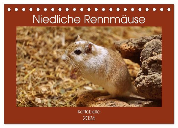 Niedliche Rennmäuse (Tischkalender 2026 DIN A5 quer), CALVEND...