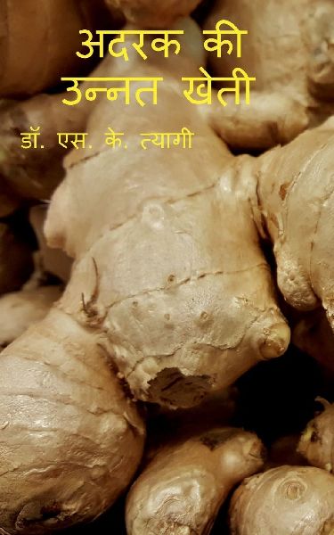 Improved Cultivation of Ginger / अद...
