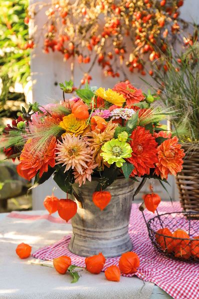 Herbst
