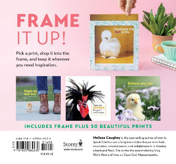Chicken Wisdom Frame-Ups