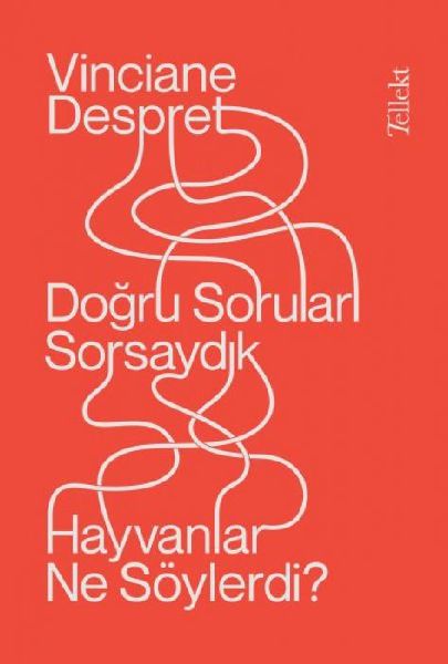 Dogru Sorulari Sorsaydik, Hayvanlar Ne Söylerdi