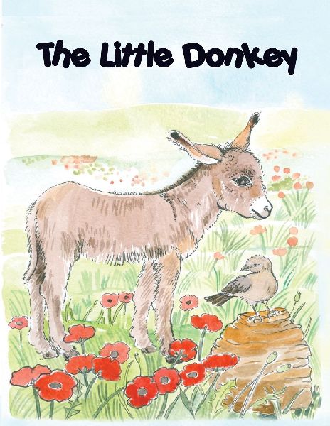 THE LITTLE DONKEY, children's colouring book