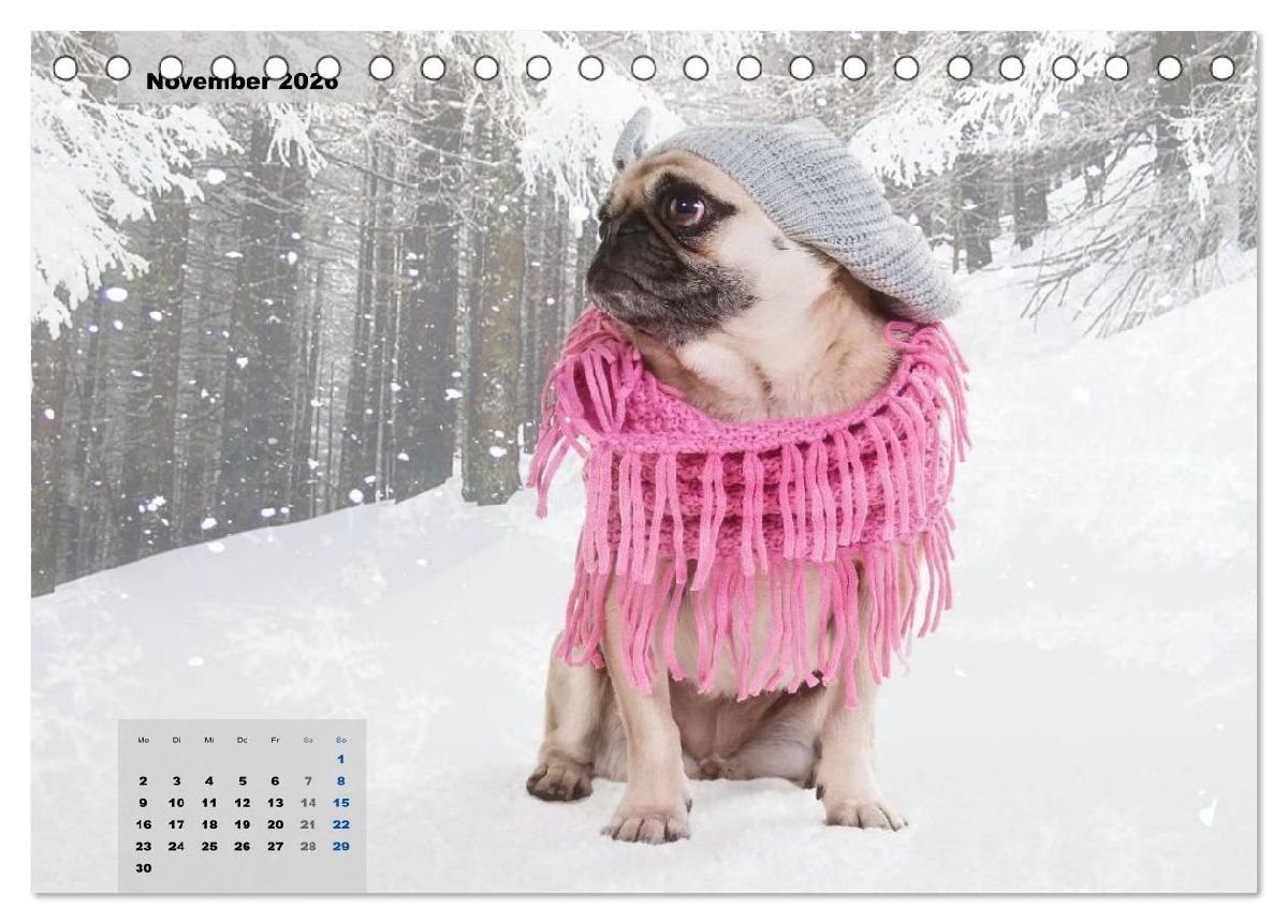 Lillie Mopsgetier - mopsfidel durchs Jahr (Tischkalender 2026 DIN A5 quer), CALVENDO Monatskalender