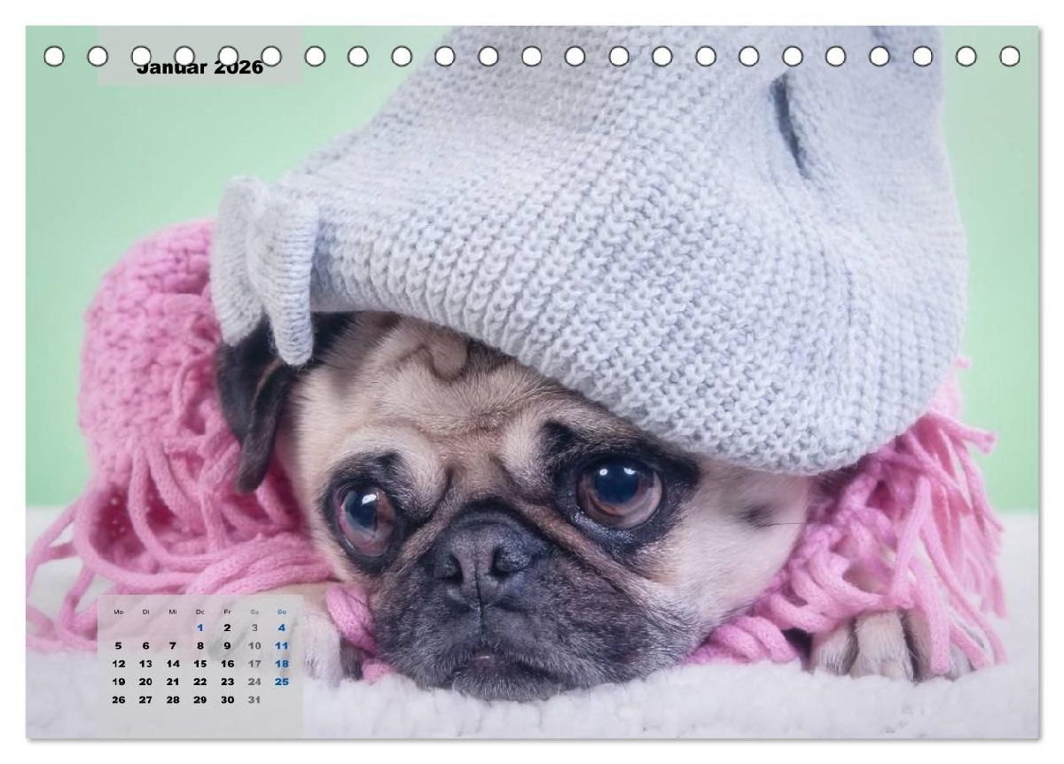 Lillie Mopsgetier - mopsfidel durchs Jahr (Tischkalender 2026 DIN A5 quer), CALVENDO Monatskalender