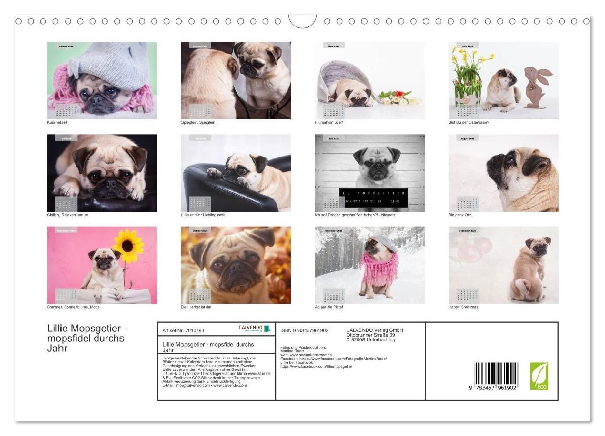 Lillie Mopsgetier - mopsfidel durchs Jahr (Wandkalender 2026 DIN A3 quer), CALVENDO Monatskalender