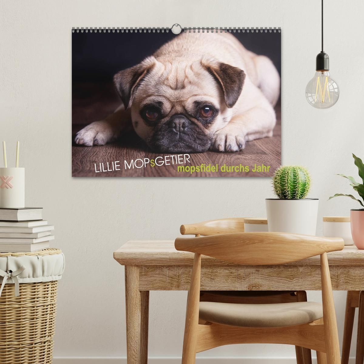 Lillie Mopsgetier - mopsfidel durchs Jahr (Wandkalender 2026 DIN A3 quer), CALVENDO Monatskalender