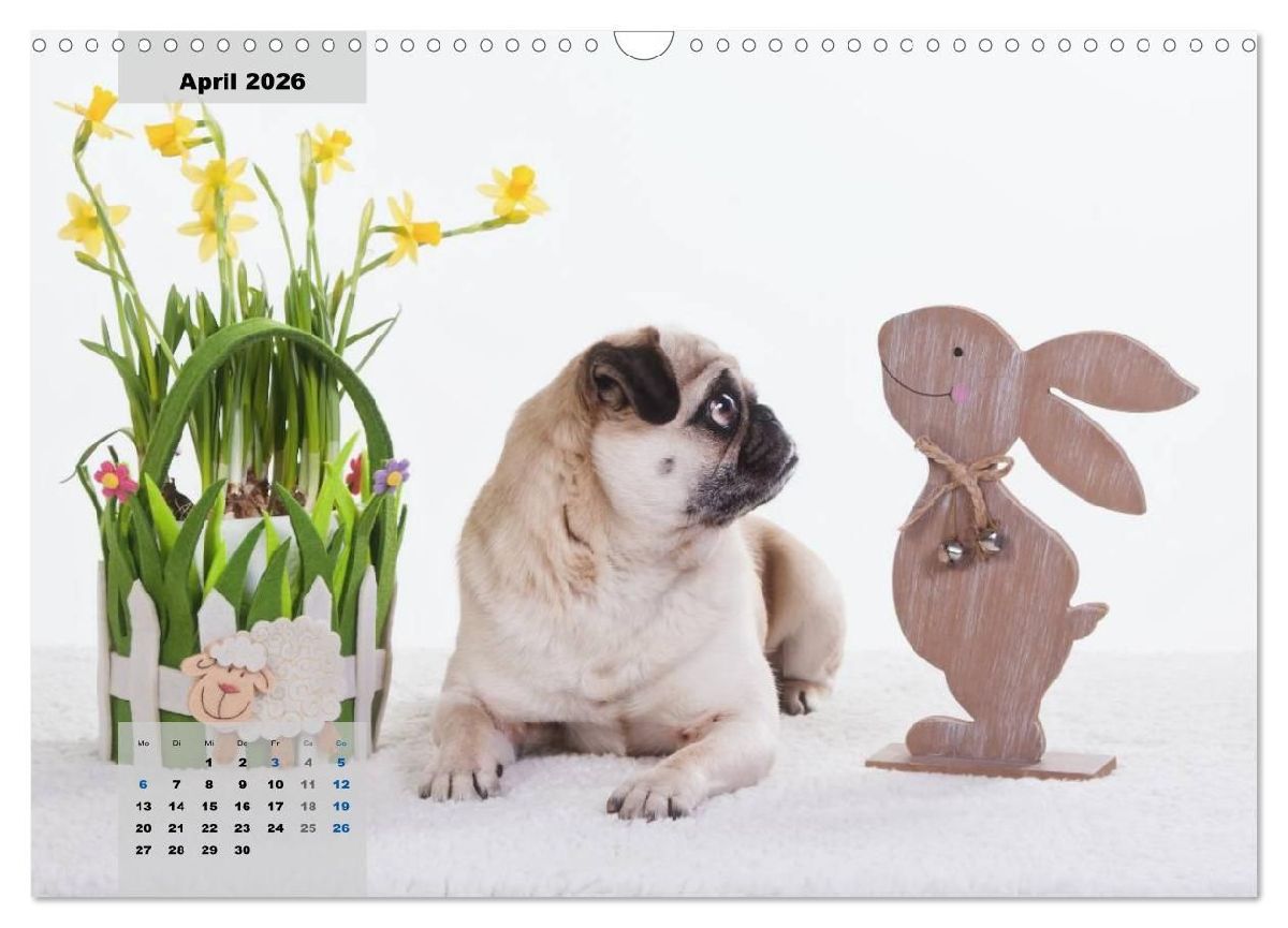 Lillie Mopsgetier - mopsfidel durchs Jahr (Wandkalender 2026 DIN A3 quer), CALVENDO Monatskalender