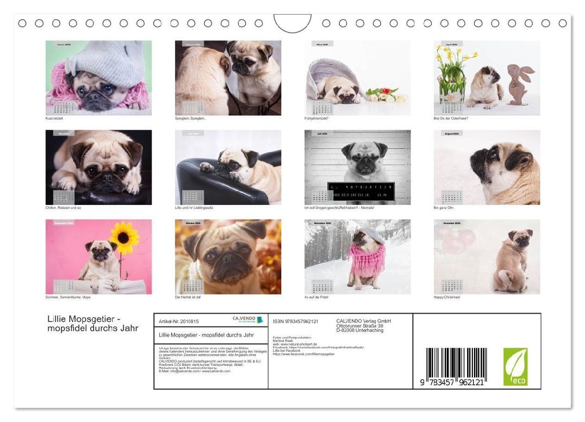 Lillie Mopsgetier - mopsfidel durchs Jahr (Wandkalender 2026 DIN A4 quer), CALVENDO Monatskalender